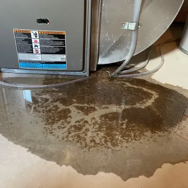 Appliance Leak Cleanup in Glenn County, CA